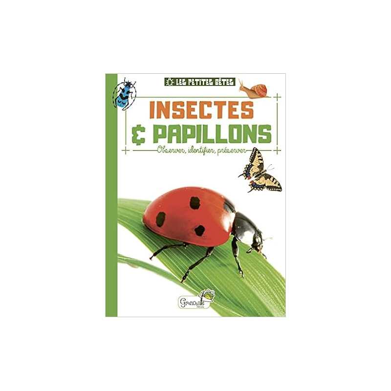 Insectes et papillons - Alcie Delvaille