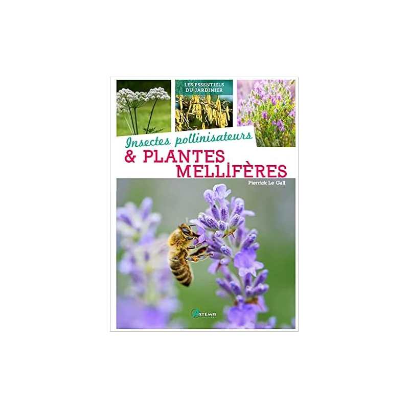 Insectes pollinisateurs & plantes melliferes - Pierrick Le Gall