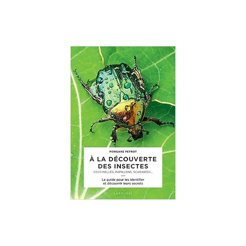 A la decouverte des insectes - Morgane Peyrot