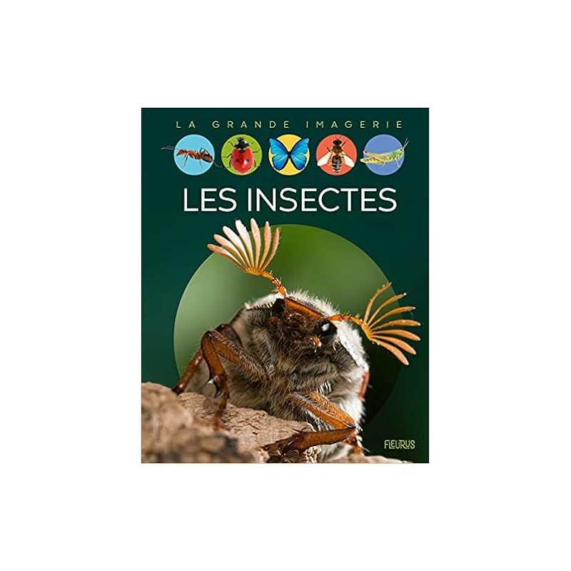 Les insectes - Emilie Beaumont / Bernard Alunni / Marie-Christine Lemayeur