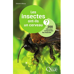 Les insectes ont-ils un cerveau ? - 200 cles pour comprendre les insectes. - Vincent Albouy