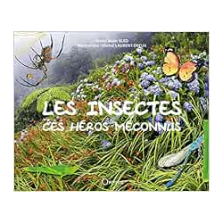 Les insectes