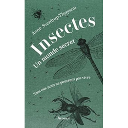 Insectes : un monde secret - sans eux nous ne pourrions pas vivre - illustrations