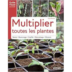 Multiplier toutes les plantes - semis