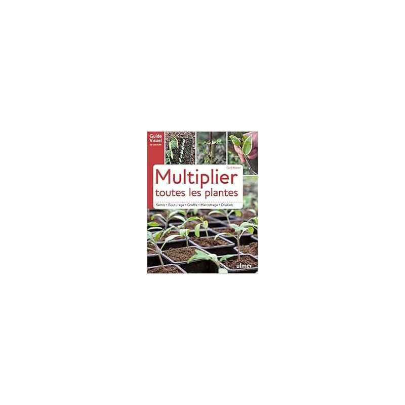 Multiplier toutes les plantes - semis