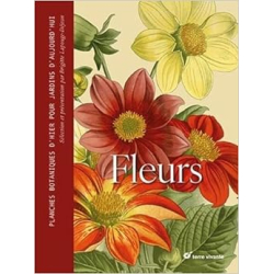 Fleurs - Planches botaniques d'hier pour jardins d'aujourd'hui - B. Lapouge-Dejean