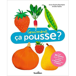 Comment ça pousse ? - Anne-Sophie Baumann / Amélie Falière