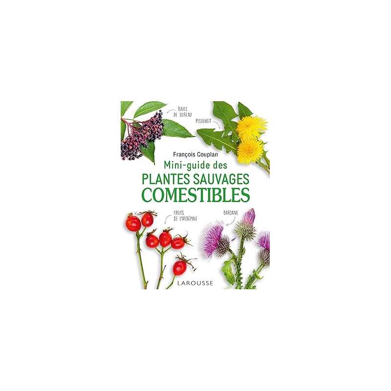 Mini-guide des plantes sauvages comestibles - Guilhem Lesaffre