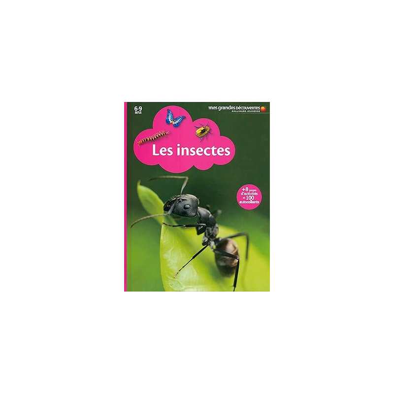 Les insectes - Michel Braudeau