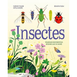 Insectes - Florence Thinard