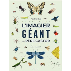 L'Imagier géant du Père Castor: Les insectes - Adeline Ruel