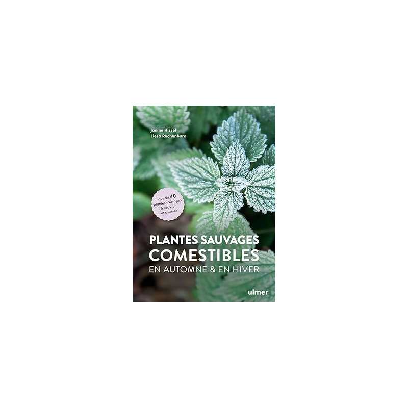 Plantes sauvages comestibles en automne et en hiver - Janine Hissel