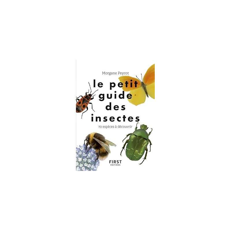 Le petit guide des insectes - 70 espèces à découvrir - Morgane Peyrot