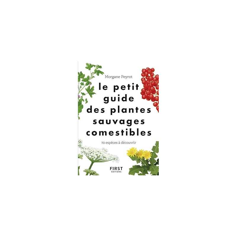 Le Petit guide des plantes sauvages comestibles - 70 espèces à découvrir - Morgane Peyrot