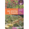 Les plantes à massifs - Paul Collen