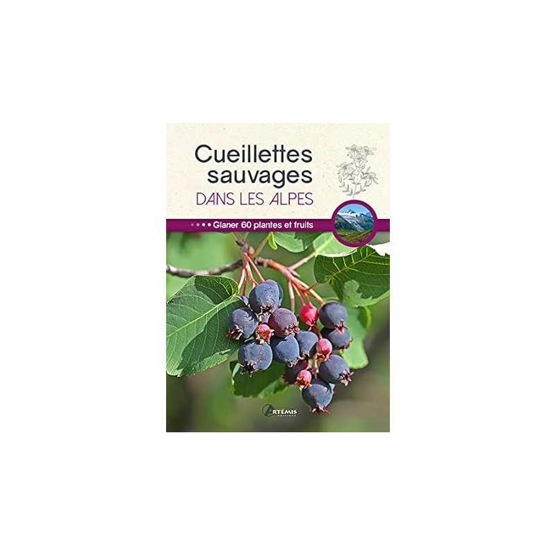 Cueillettes sauvages dans les Alpes - Collectif