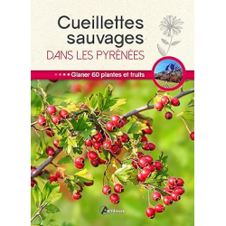 Cueillettes sauvages dans les Pyrénées - Collectif