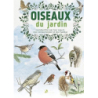 Oiseaux du jardin: les identifier par leur aspect