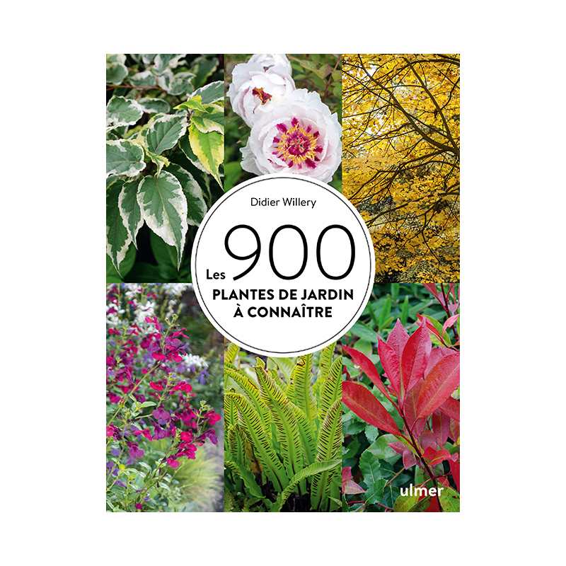 Les 900 plantes de jardin à connaître - Didier Willery