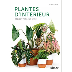 Plantes d'intérieur - Déco et faciles à vivre - Gynelle Leon