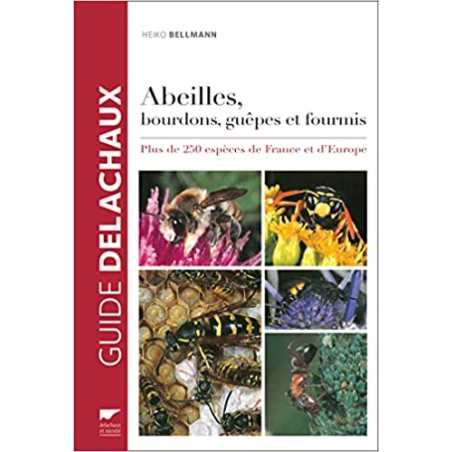 Abeilles, bourdons, guêpes et fourmis (Réédition): Plus de 250 espèces de France et d'Europe - Heiko Bellmann