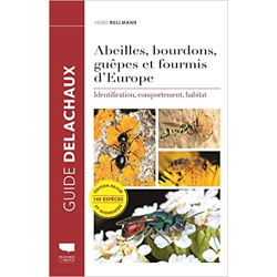 Abeilles, bourdons, guêpes et fourmis d'Europe: Identification, comportement, habitat - Heiko Bellmann