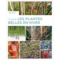 Toutes les plantes belles en hiver - James Garnett