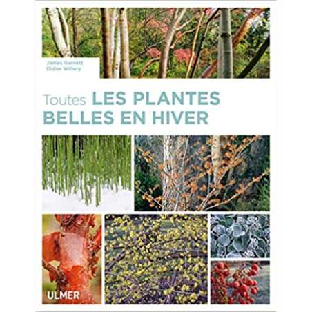 Toutes les plantes belles en hiver - James Garnett