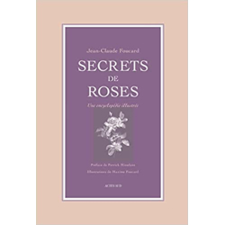 Secrets de roses - Jean-claude Foucard