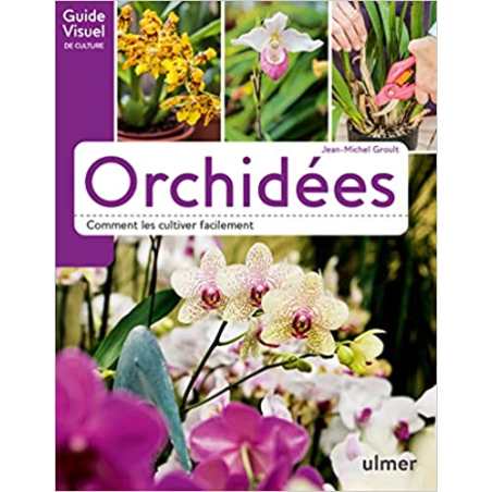 Orchidées - Comment les cultiver facilement - Jean-Michel Groult