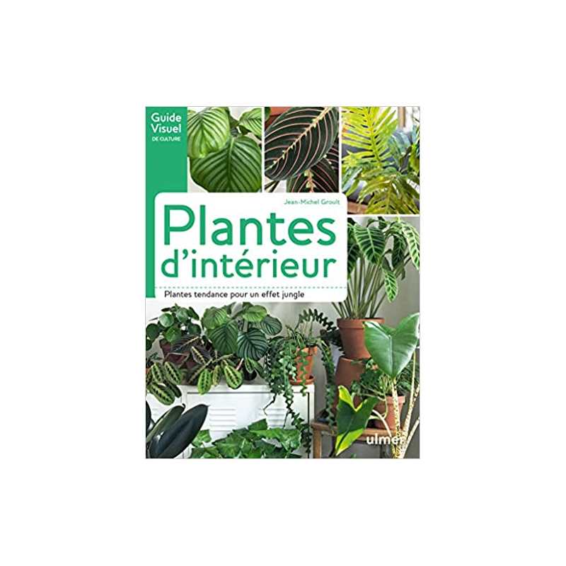 Plantes d'intérieur - Jean-Michel Groult