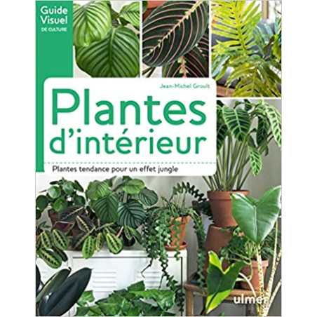 Plantes d'intérieur - Jean-Michel Groult