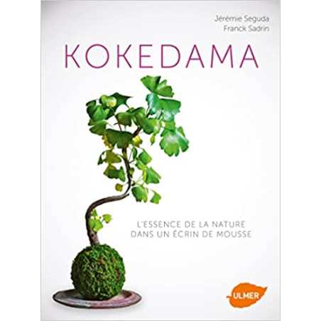 Kokedama. L'essence de la nature - Jérémie Seguda