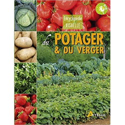 Le potager en 10 leçons et 3 coups de binette - Annie Lagueyrie