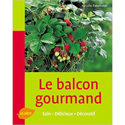 Le Balcon gourmand - Sain, délicieux, décoratif - Natalie Fassmann