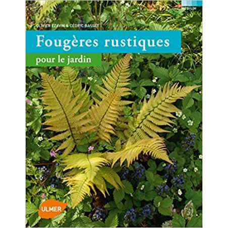 Fougères rustiques pour le jardin - Olivier Ezavin