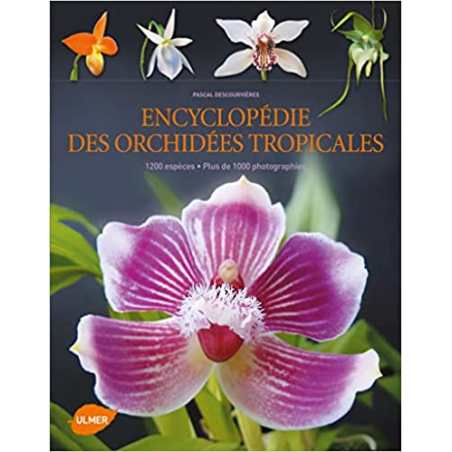 Encyclopédie des orchidées tropicales - Pascal Descourvières