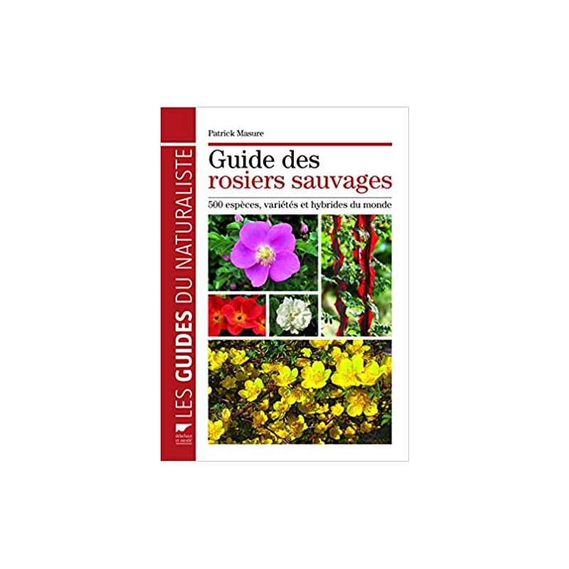 Guide des rosiers sauvages: 500 espèces, variétés et hybrides du monde - Patrick Masure