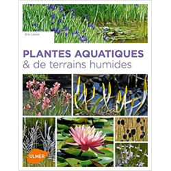 Plantes aquatiques & de terrains humides - Eric Lenoir