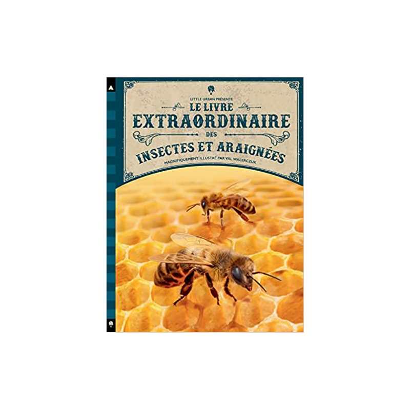 Le Livre extraordinaire des insectes et araignées - Taylor Barbara