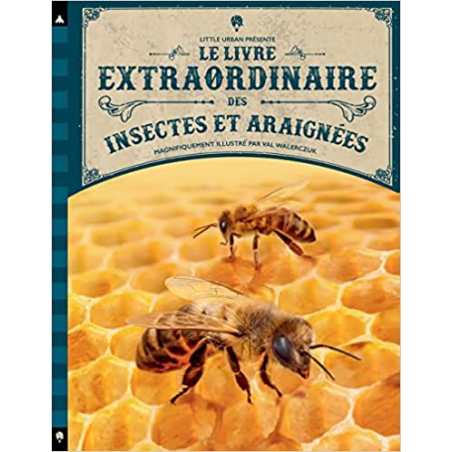 Le Livre extraordinaire des insectes et araignées - Taylor Barbara