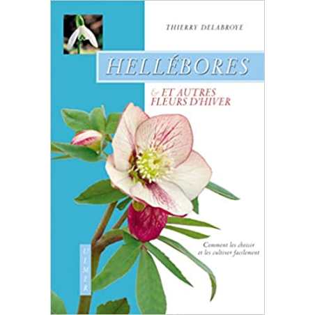 Hellébores et autres fleurs d'hiver - Thierry Delabroye