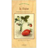 La fraise : chronique du potager - Thierry Delahaye