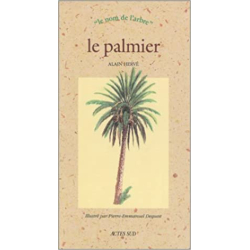 Le palmier - Alain Hervé