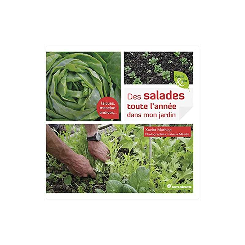 Des salades toute l'année dans mon jardin: Laitues, mesclun, endives ... - Xavier Mathias