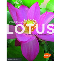 Lotus - Les connaître et les réussir sous nos climats - Yann Mumber