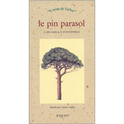 Le pin parasol - Alain Pontoppidan