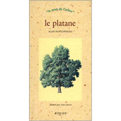 Le platane - Alain Pontoppidan