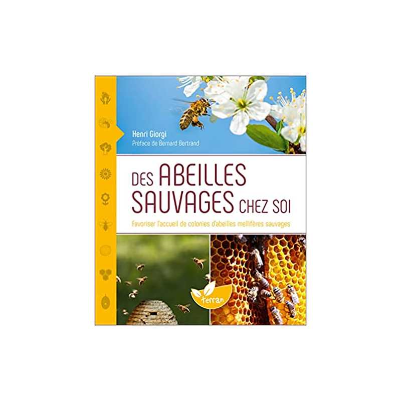 Des abeilles sauvages chez soi - Favoriser l'accueil de colonies - Henri Giorgi