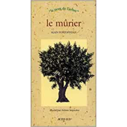 Je crée mon jardin Feng-Shui - Un cheminement vers soi - Aloccio Louis